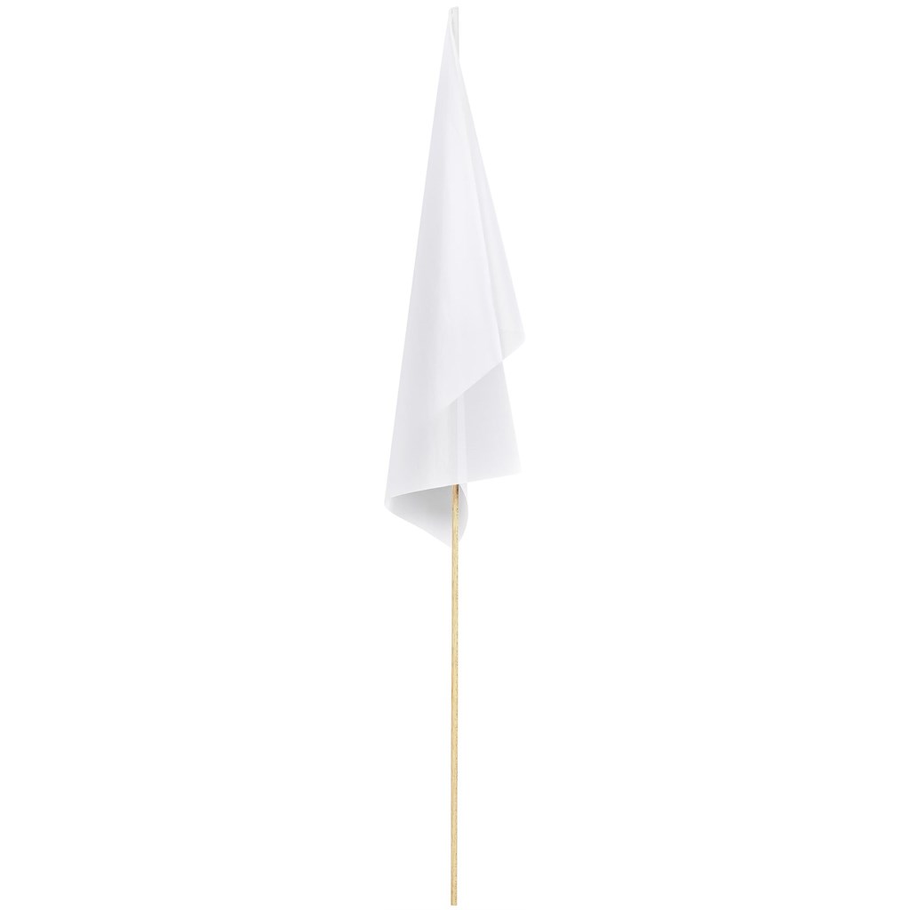 Champion Medium Hand Flag 450mm x 300mm - Image 3