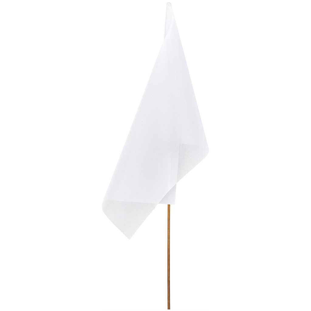 Champion Large Hand Flag 900mm x 600mm - Image 2