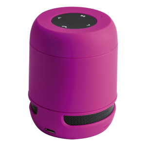 Braiss Bluetooth Speaker