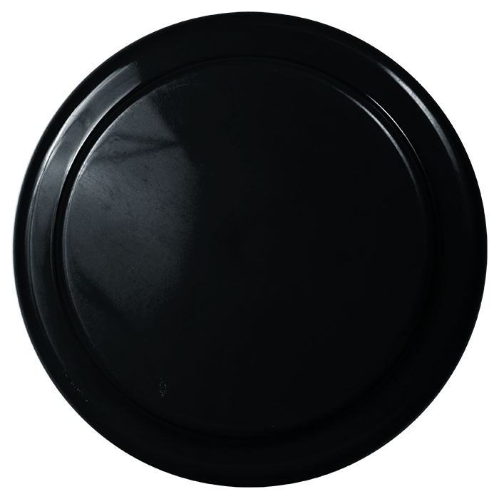 Frisbee Vanessa - Image 3
