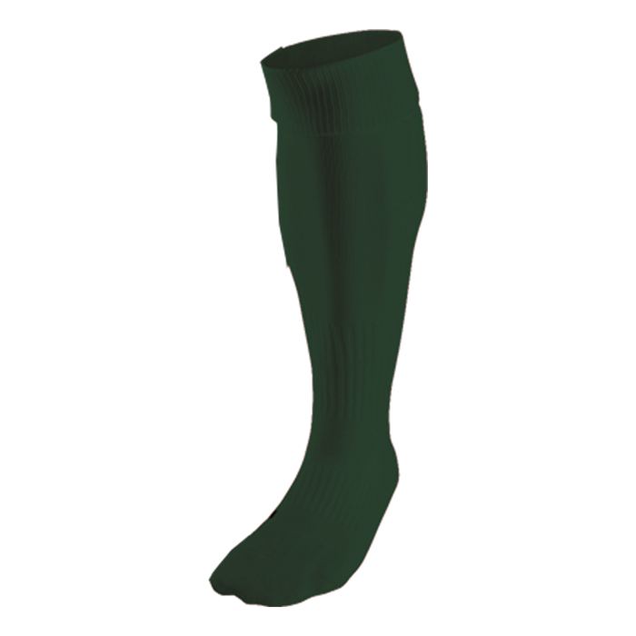 BRT Team Sock - Image 5