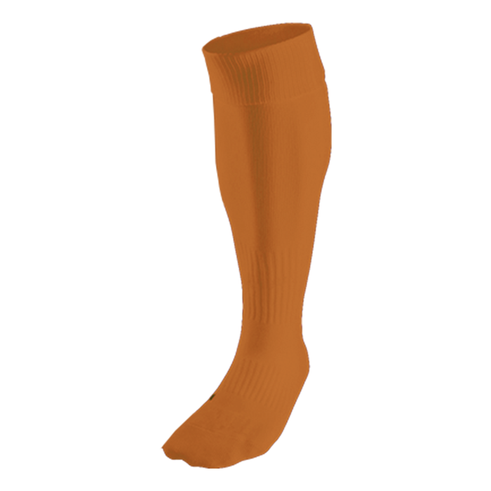 BRT Team Sock - Image 4